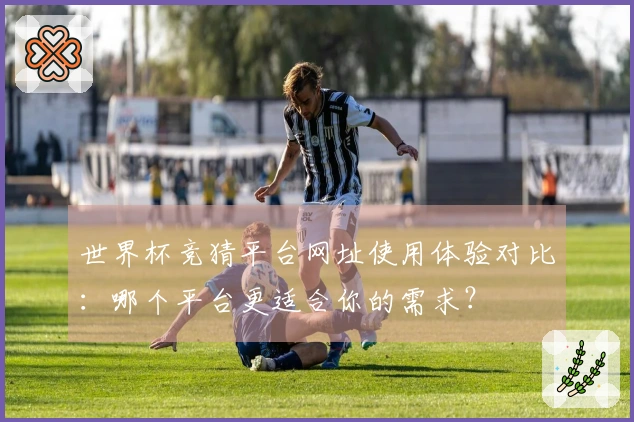 世界杯竞猜平台网址使用体验对比：哪个平台更适合你的需求？