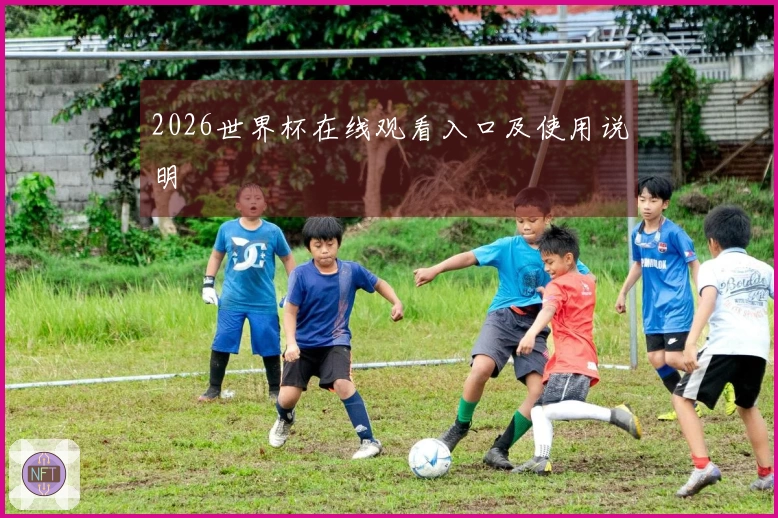 2026世界杯在线观看入口及使用说明