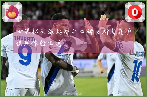 世界杯买球站综合口碑分析与用户使用体验汇总