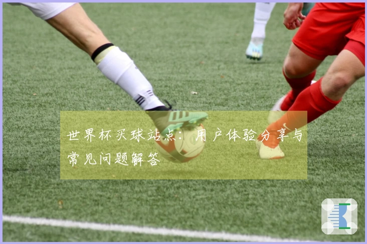 世界杯买球站点：用户体验分享与常见问题解答