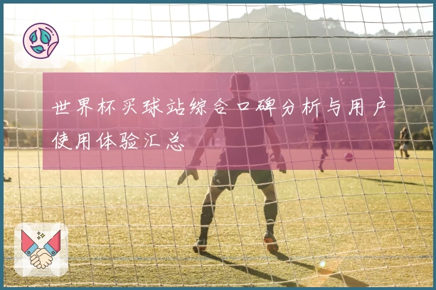 世界杯买球站综合口碑分析与用户使用体验汇总