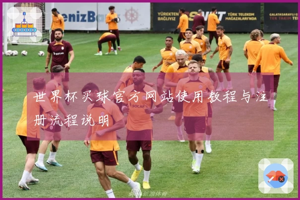 世界杯买球官方网站使用教程与注册流程说明