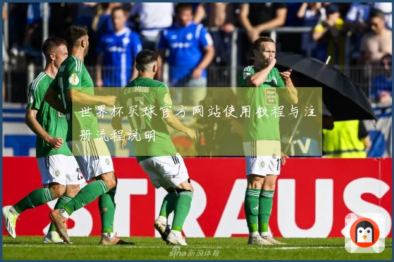 世界杯买球官方网站使用教程与注册流程说明