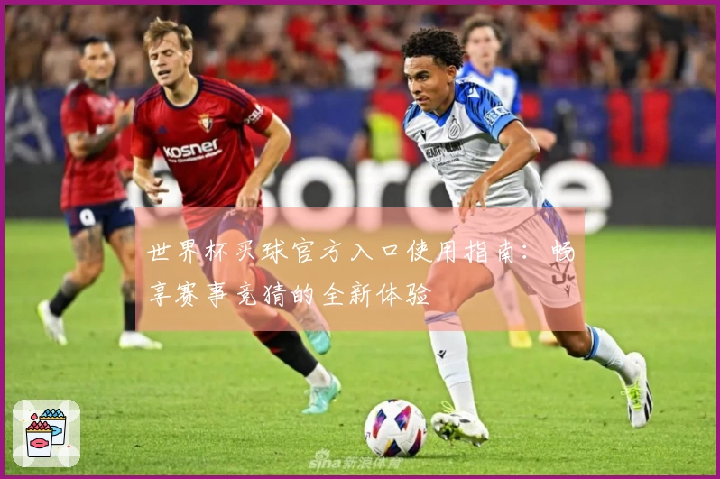 世界杯买球官方入口使用指南：畅享赛事竞猜的全新体验