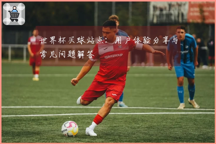 世界杯买球站点：用户体验分享与常见问题解答