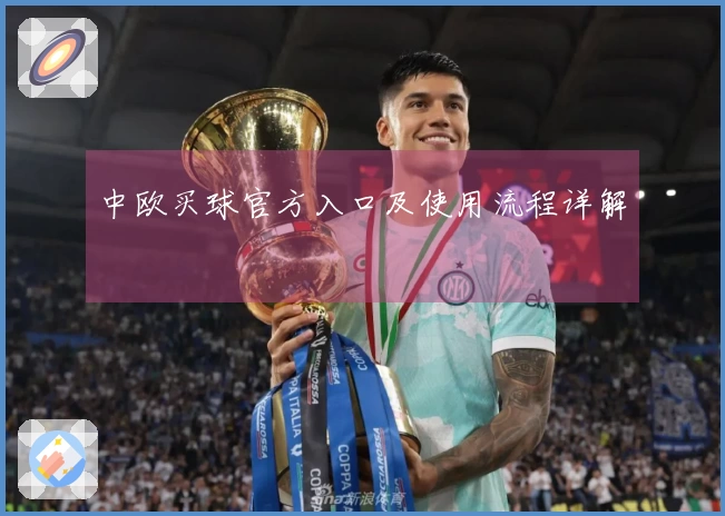 中欧买球官方入口及使用流程详解