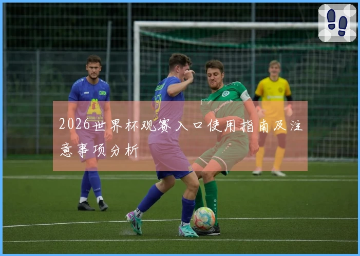 2026世界杯观赛入口使用指南及注意事项分析