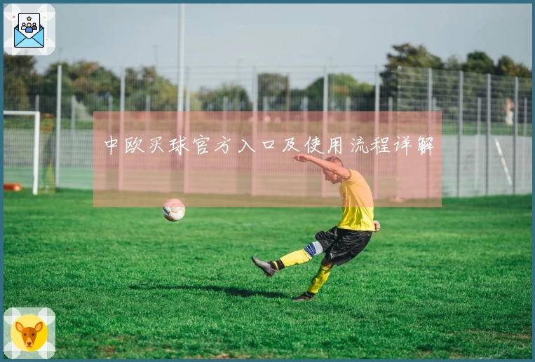 中欧买球官方入口及使用流程详解